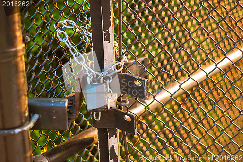Image of Padlock on wire fence