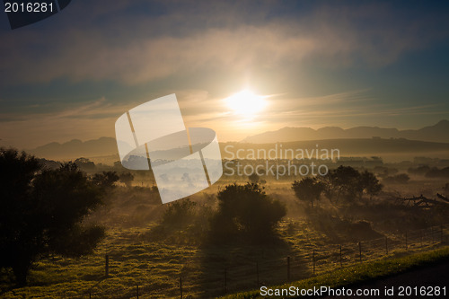 Image of Fields at dawn