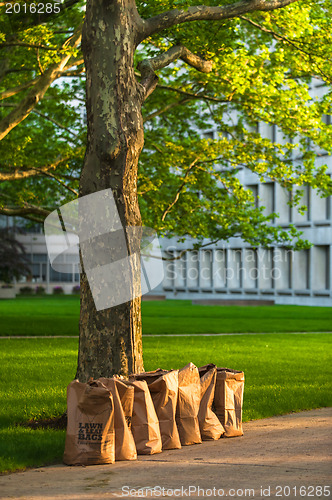 Image of Recycling yard waste paper bags