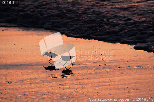 Image of Beach runners in Antigua