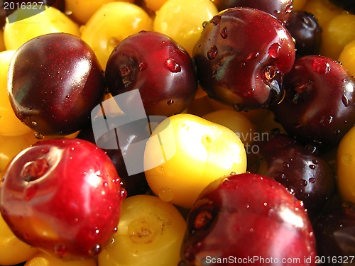 Image of Berries of a sweet cherry under jet of water