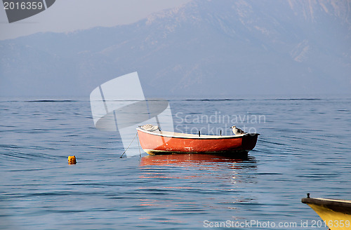 Image of Funny Seagulls sitting on the boat 