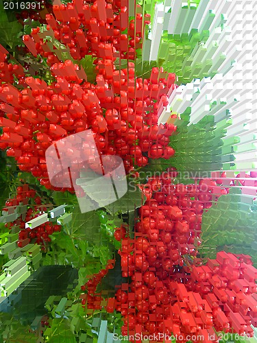 Image of Abstract clusters of a red ripe guelder-rose