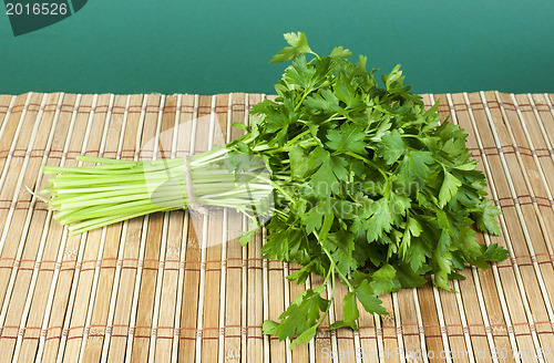 Image of Fresh bunch of green parsley