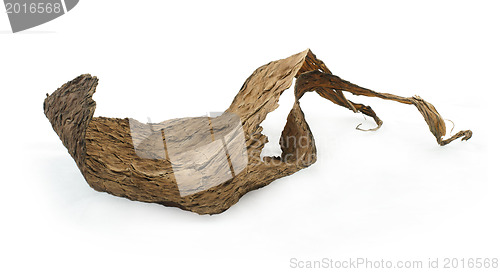 Image of Dried tobacco leaves