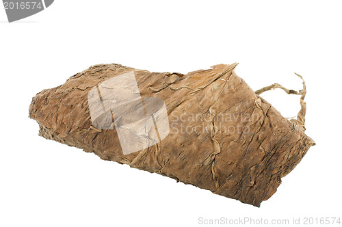 Image of Dried tobacco leaves