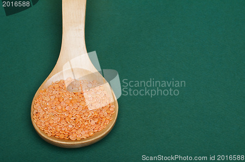 Image of Lentil split in wooden spoon