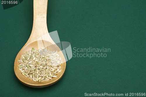 Image of Rice integral in wooden spoon