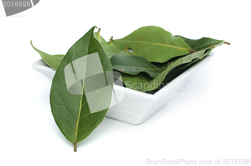 Image of Bay leaf spice