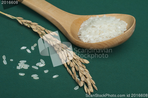 Image of Rice baldo in wooden spoon