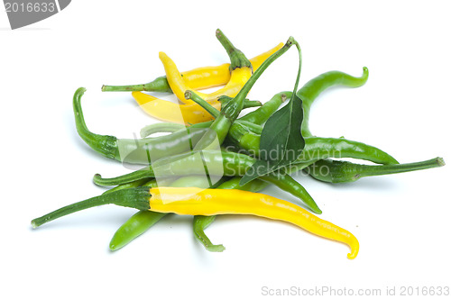 Image of Small thin green chili peppers