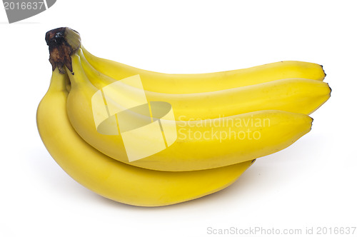 Image of Bunch of bananas