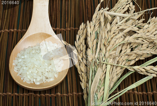 Image of Rice baldo in wooden spoon