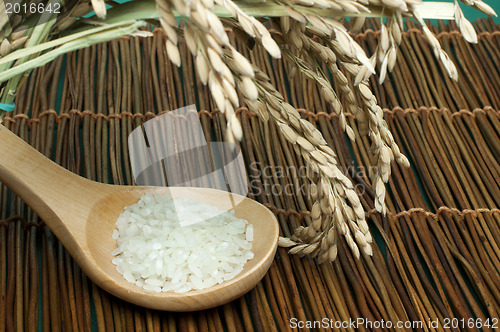 Image of Rice baldo in wooden spoon