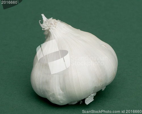 Image of Whole head of garlic 