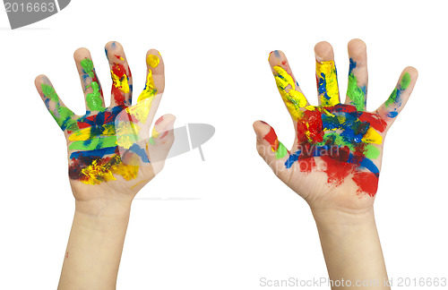 Image of Boy hands painted with colorful paint