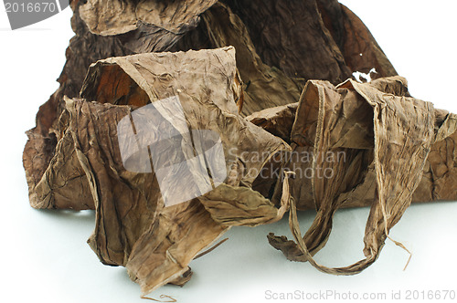 Image of Dried tobacco leaves