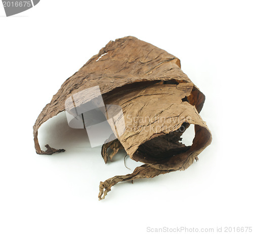 Image of Dried tobacco leaves