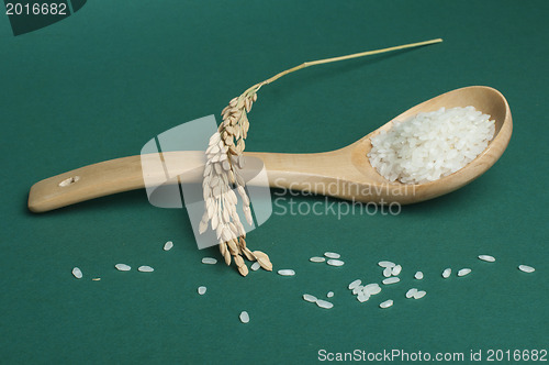 Image of Rice baldo in wooden spoon