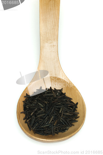 Image of Wild black rice in wooden spoon