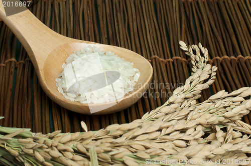 Image of Rice baldo in wooden spoon