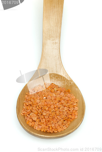 Image of Lentil split in wooden spoon