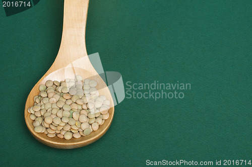 Image of Lentil canada in wooden spoon