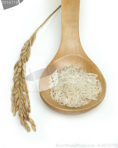 Image of Basmati rice in wooden spoon 