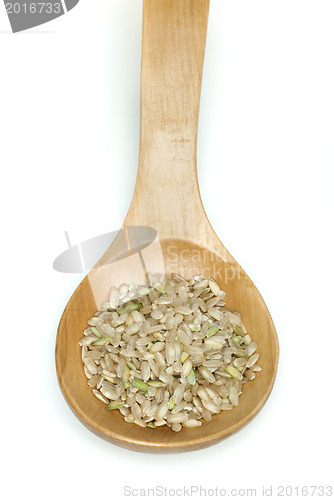 Image of Rice integral in wooden spoon