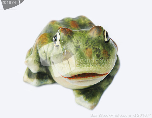 Image of Frog