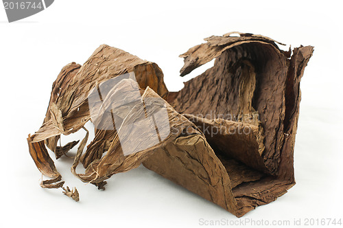 Image of Dried tobacco leaves