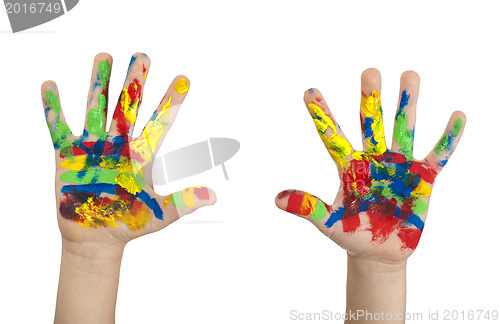 Image of Boy hands painted with colorful paint