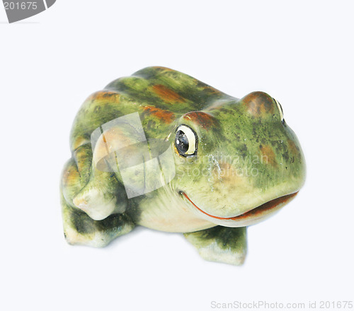 Image of Frog