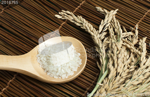 Image of Rice baldo in wooden spoon