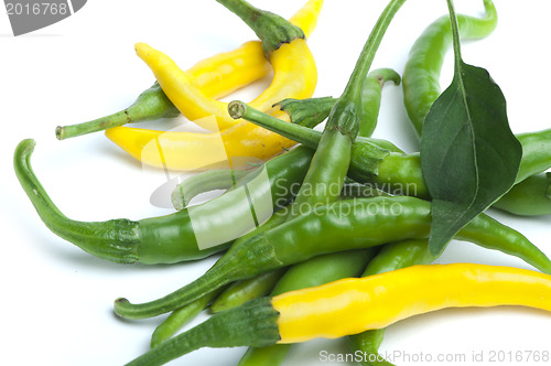 Image of Small thin green chili peppers