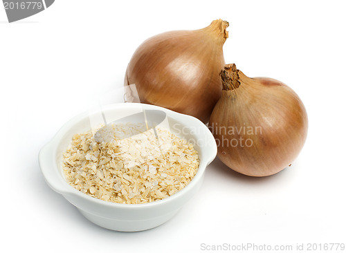Image of Mature onion and bowl with dried onion powder