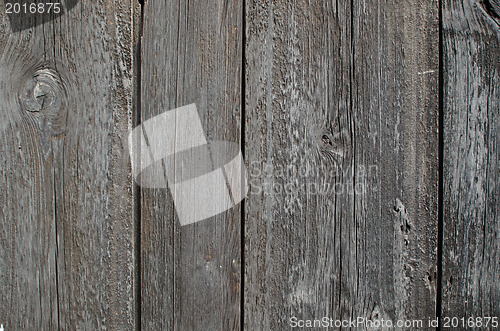 Image of Black weathered wood