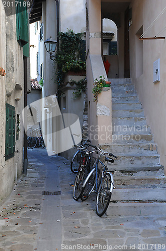 Image of Bicycles in the Lane