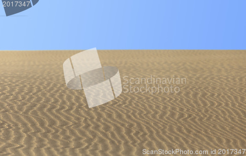 Image of Desert dune