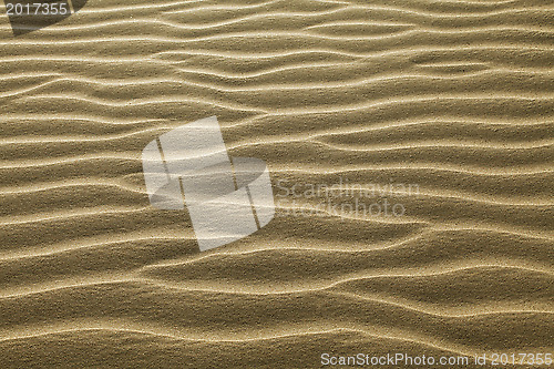 Image of Rippled sand