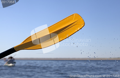 Image of Kayaking