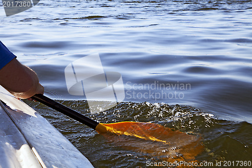 Image of Kayaking