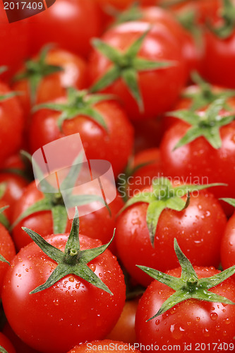 Image of Cocktail tomatoes