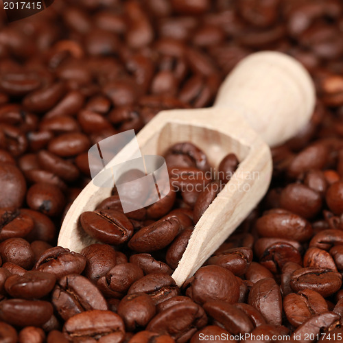 Image of Roasted coffee beans on a wooden spoon