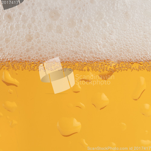 Image of Beer with froth