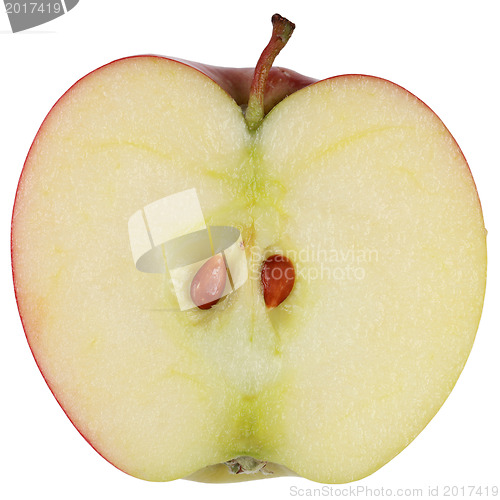 Image of Sliced red apple