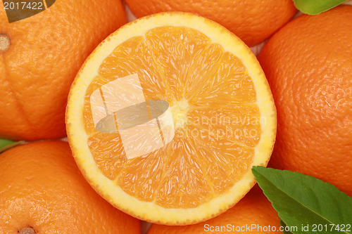 Image of Sliced Orange