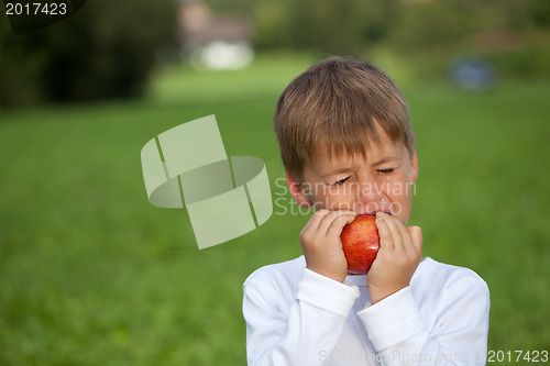 Image of Little boy eating an apple