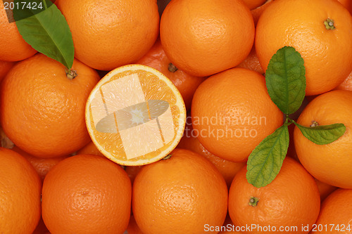 Image of Oranges with leaves