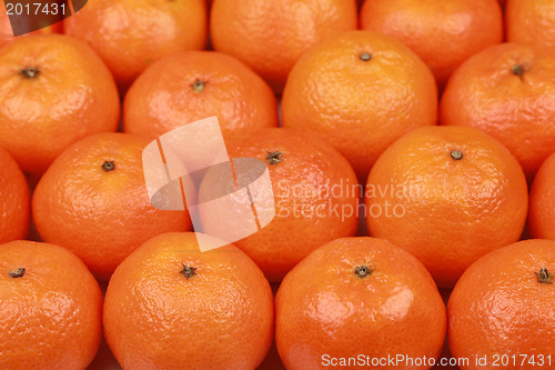 Image of Tangerines